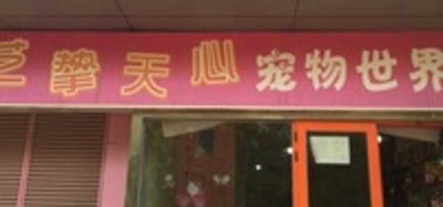 艺挚天心宠物店0