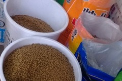 鑫鑫宠物店3