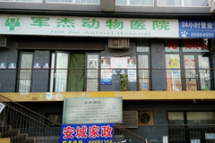 北京军杰动物医院7