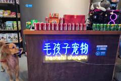 毛孩子宠物5