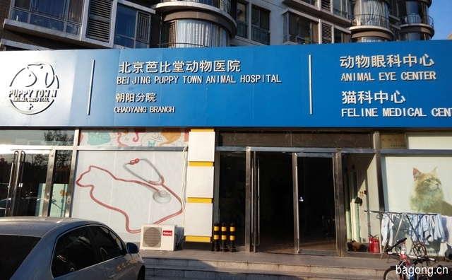 北京芭比堂动物医院（朝阳分院） 封面大图