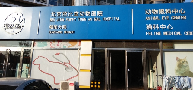 北京芭比堂动物医院（朝阳分院）0