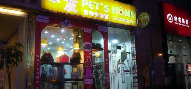 顽友宠物店0
