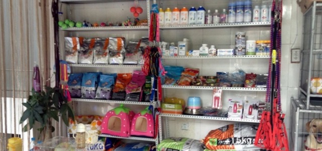 你的小宠宠物店1