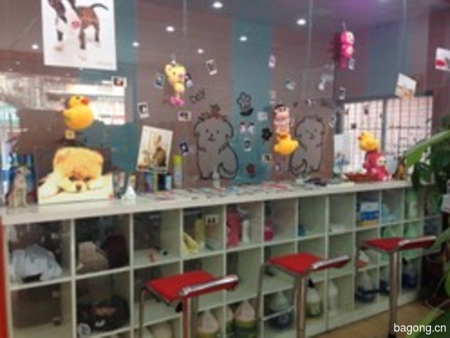 派多格顽皮精灵店 封面大图