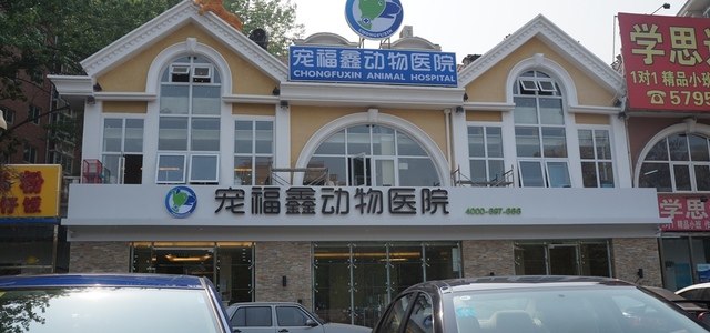 北京宠福鑫动物医院（通州店）0