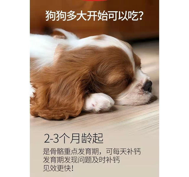 谷登 犬用 高钙片 200片