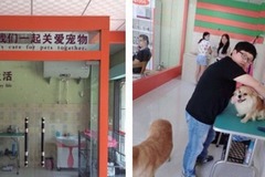 派多格宠物(天朗大兴郡店)6