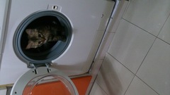：User_126783家的宝贝，喜欢就点个赞喽_1417092073