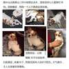 寻狗启示，爱犬聪聪于2016年12月...
