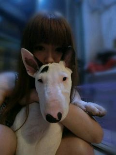 ：我和我的丑头梗❤