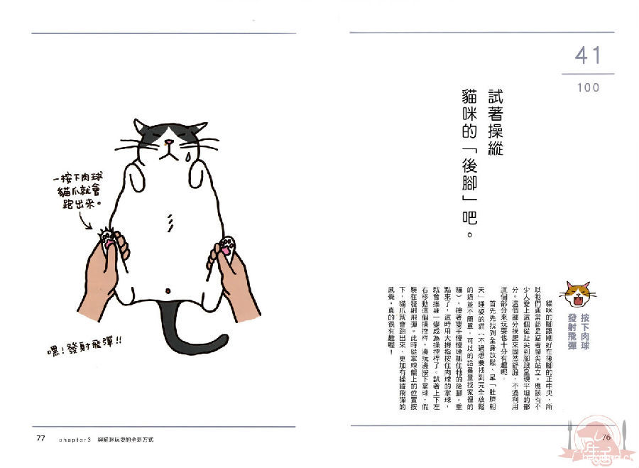 猫奴必懂的100 个喵喵秘密 41