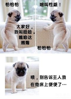 ：这货性感又犯坏啊~.