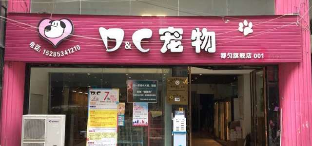 都匀D&C宠物店3