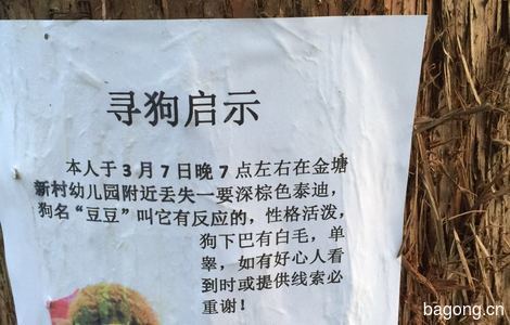 本人于3月7号晚七点左右在金塘新...