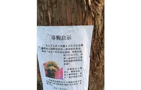 本人于3月7号晚七点左右在金塘新...