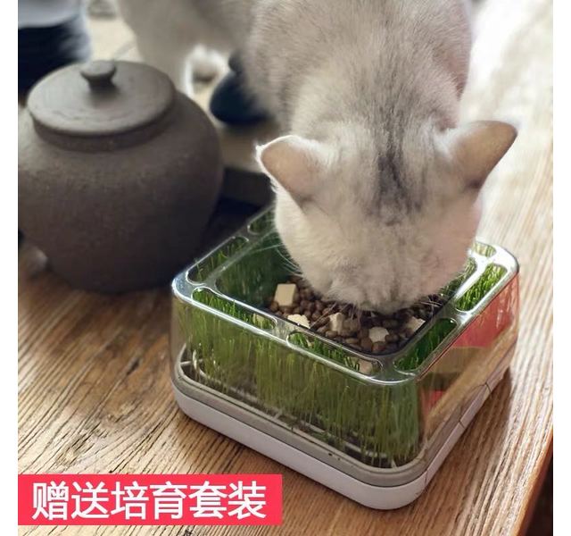 猫草碗