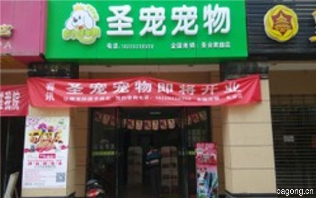 圣宠宠物店(西安圣合家园店) 封面大图