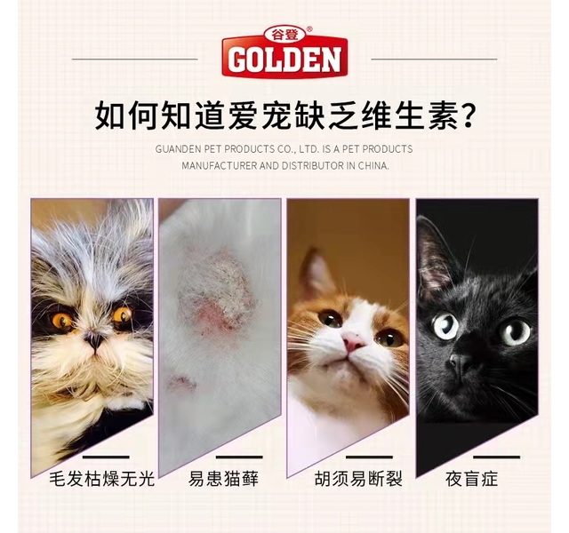 谷登 猫用复合维生素片 200片