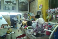 小淘气宠物店0