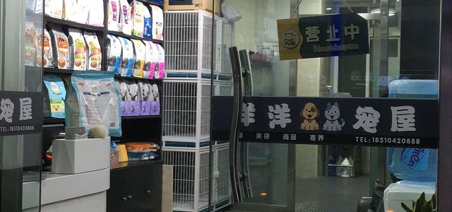 洋洋宠屋0