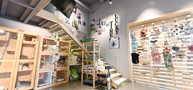 幸运家宠物店 （保利店-总店）2