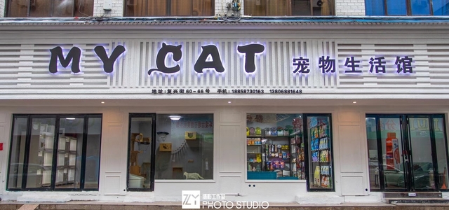 My Cat宠物生活馆2