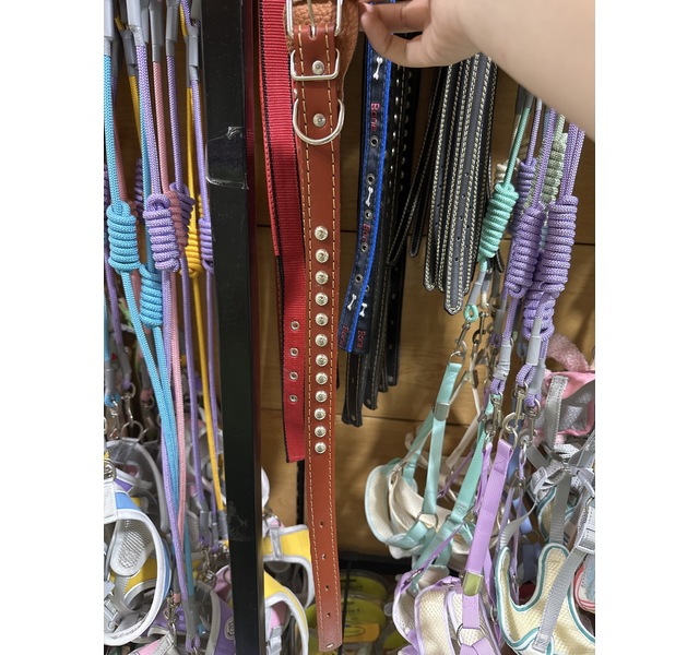 皮质脖圈 大号