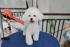 玖月宠物生活馆