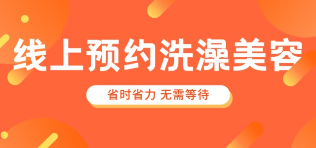 乐多宠物0