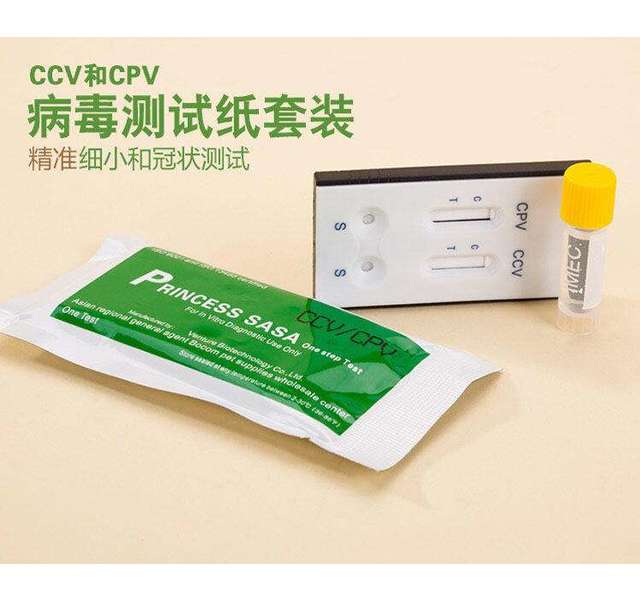 细小+冠状测试纸