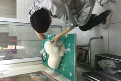派多格宠物 新潮嘉园店