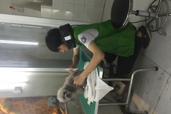 派多格宠物 新潮嘉园店
