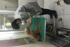 派多格宠物 新潮嘉园店
