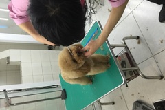 派多格宠物 新潮嘉园店