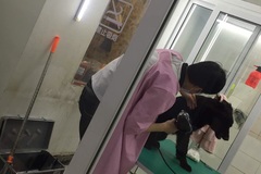 派多格宠物 新潮嘉园店