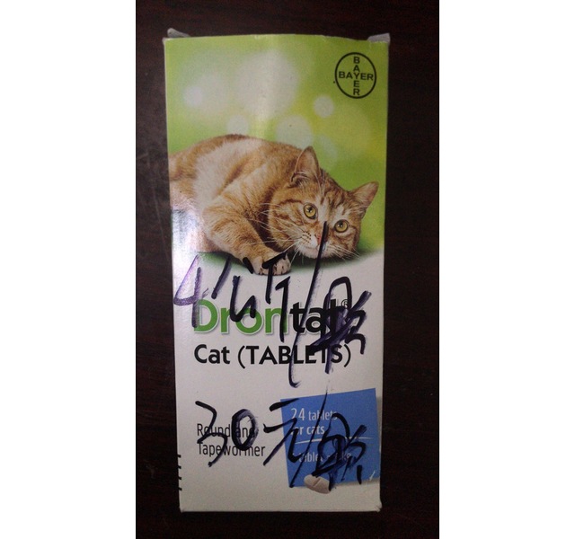拜宠清猫用4kg