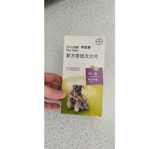 拜宠清犬