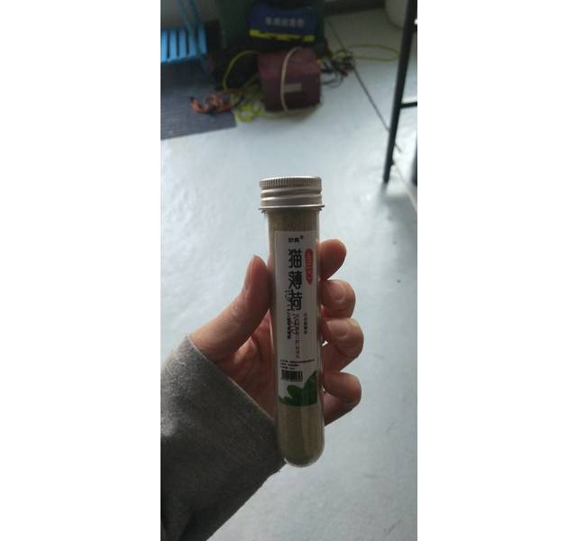 猫薄荷