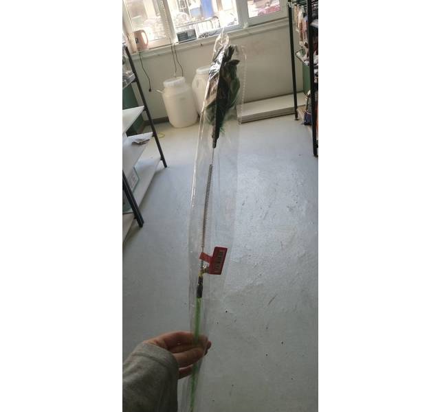 弹簧逗猫棒