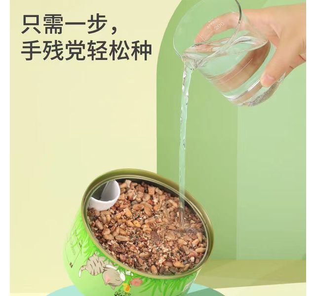 猫草罐头种植