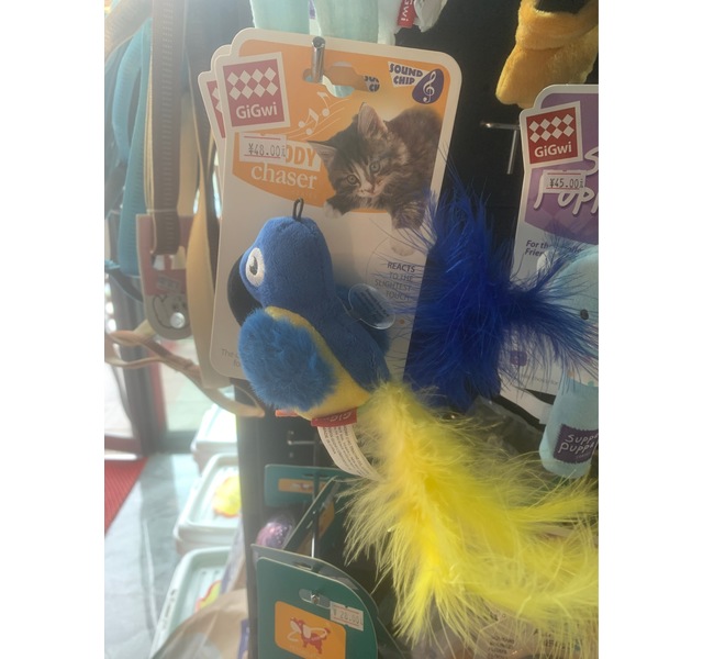 炫律蓝鹦鹉贵为玩具
