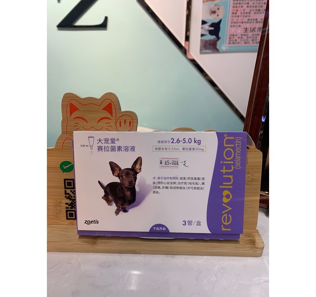 大宠爱犬用（2.6~5KG）