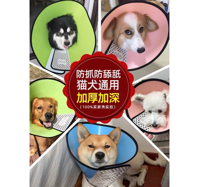 塑料伊丽莎白圈2号