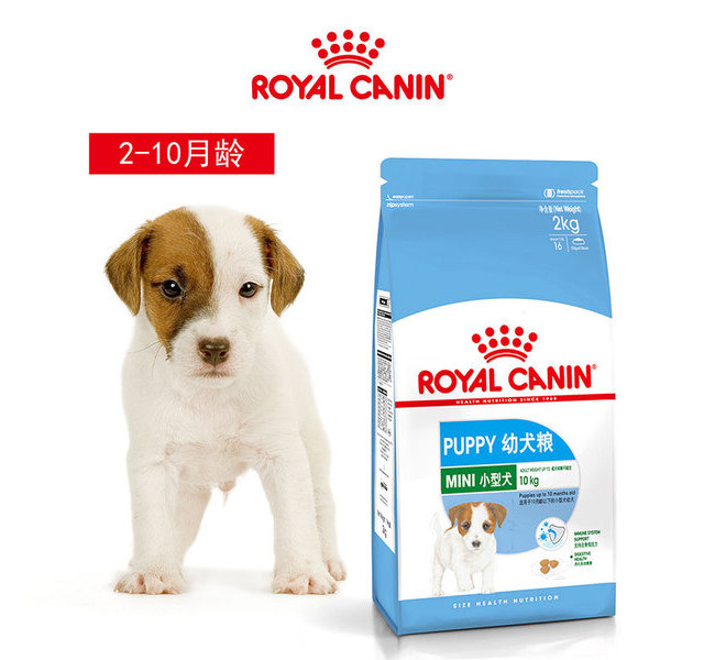 皇家小型犬奶糕