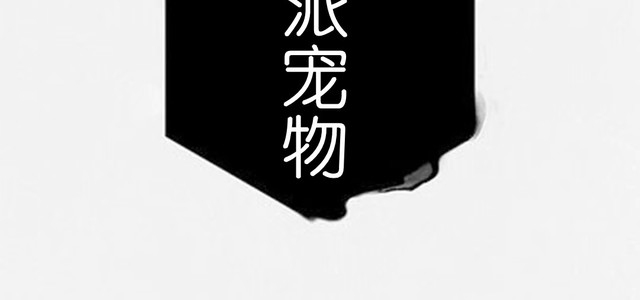 嗨派宠物0