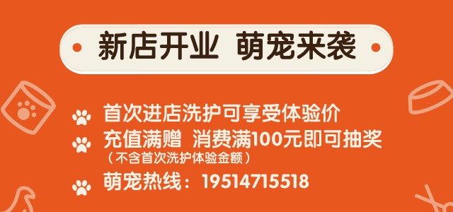 开业大酬宾