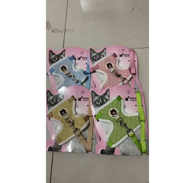 小熊猫牵引小号