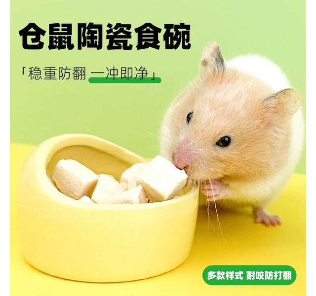 半遮挡碗6cm