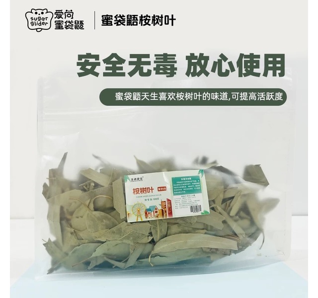 桉树叶